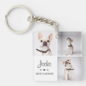犬のメモリアルペットロス記念フォトコラージュ キーホルダー (正面)