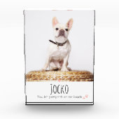 犬のメモリアルペットロス記念フォトフォトカスタム フォトブロック (正面)