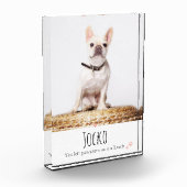 犬のメモリアルペットロス記念フォトフォトカスタム フォトブロック