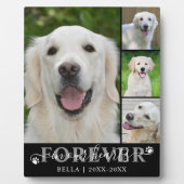 犬のメモリアル4写真の永遠の私たちのハート フォトプラーク (正面)