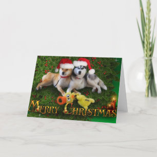 犬のメリークリスマスカード シーズンカード