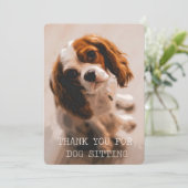 犬のモデルを-チャールズCavalier王ありがとう サンキューカード (スタンド正面)