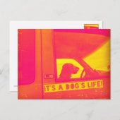 犬のライフポストカードだ ポストカード (正面/裏面)