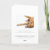 犬のラズベリーカード カード (裏面)