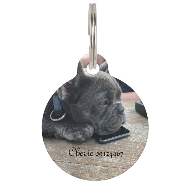 犬のラベル  ペット　ネームタグ (正面)