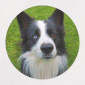 犬のラベル ラベル (デザイン2)