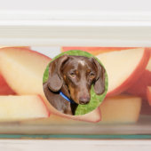 犬のラベル ラベル (貼付)