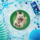 犬のランニングの庭 ペーパープレート (パーティー)