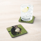 犬のランニング コースター (右側)