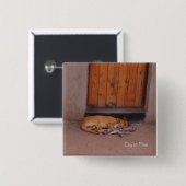 犬のレストスクエアボタン 缶バッジ (正面&裏面)