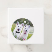 犬のロマンチックなカップルが結婚する フェイバータグ (インサイチュ)