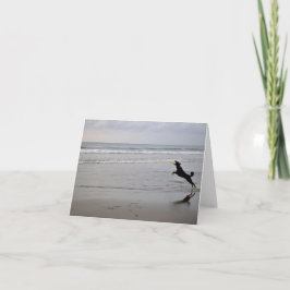 犬の伝染性のビーチのフリズビーのメッセージカード カード