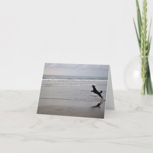 犬の伝染性のビーチのフリズビーのメッセージカード カード (正面)