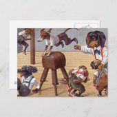 犬の体育クラス ポストカード (正面/裏面)