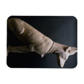 犬の像，メソポタミア， c.5000-1000紀元前(ライム) マグネット (横)