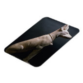 犬の像，メソポタミア， c.5000-1000紀元前(ライム) マグネット (左側)