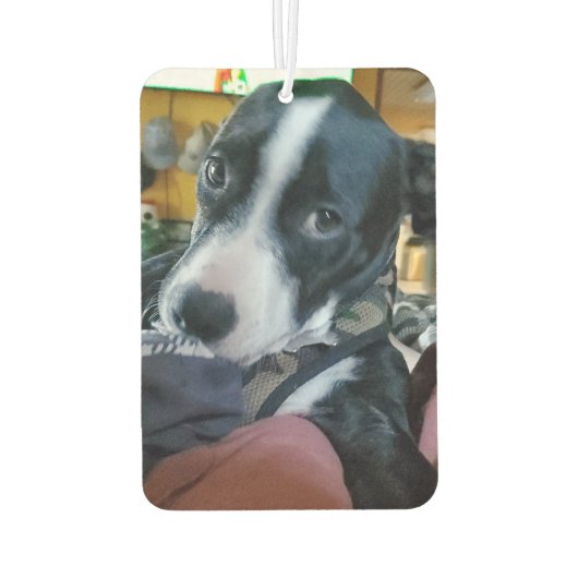 犬の写真お気に入りのを追加する カーエアーフレッシュナー (裏面)