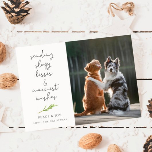 犬の写真ずさんなキスクリスマスホリデーカード シーズンカード