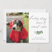 犬の写真だらしないキススクリプトのクリスマス シーズンカード (正面)