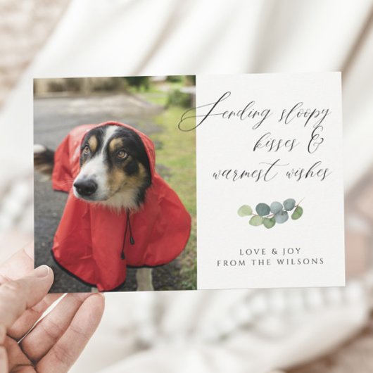 犬の写真だらしないキススクリプトのクリスマス シーズンカード