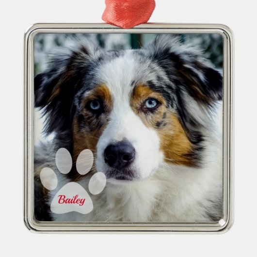 犬の写真と名前とポープリントクリスマス メタルオーナメント (正面)