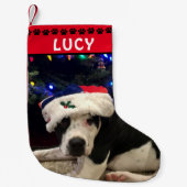 犬の写真と名前 | 赤い黒い手のプリント スモールクリスマスストッキング (正面)