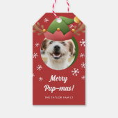 犬の写真と小妖精や小人トナカイAntler Hatクリスマス ギフトタグ (正面)