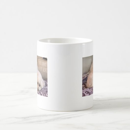 犬の写真のかわいいマルチーズおよびシーズー（犬） Tzu コーヒーマグカップ (中央)