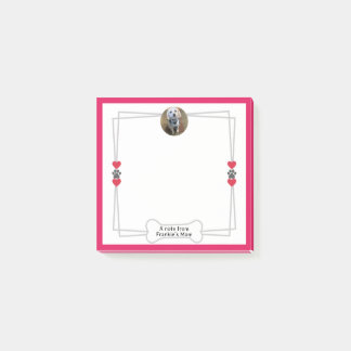 犬の写真のポストイットノートと手とハート ポストイット