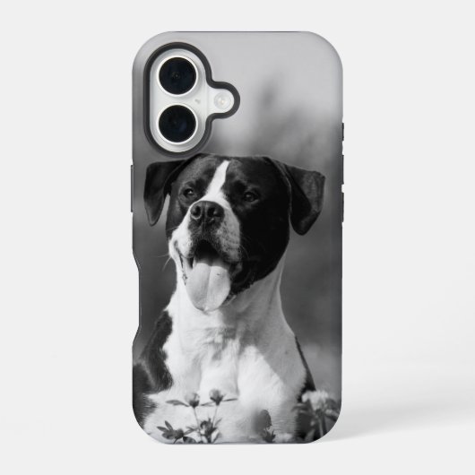 犬の写真の白黒の個人用設定 iPhone 16ケース (裏面)
