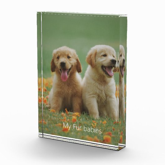 犬の写真の私の毛皮のベビーのフォトブロック フォトブロック (右)