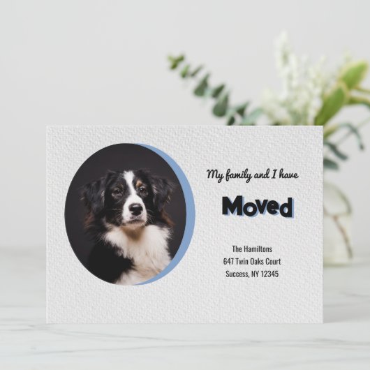 犬の写真の移動告知 案内状 (スタンド正面)