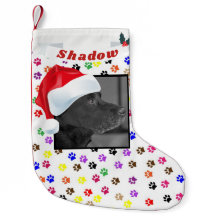 犬の写真の足のプリントの名前のためのサンタの帽子