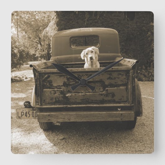 犬の写真を撮る スクエア壁時計 (正面)