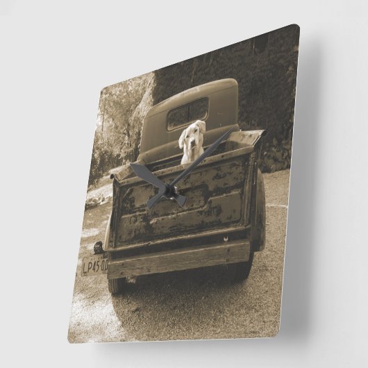 犬の写真を撮る スクエア壁時計 (傾斜)