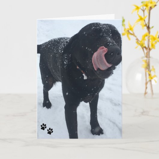 犬の写真カード カード (黄色い花)