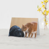 犬の写真カード- Davyおよび友人 カード (黄色い花)