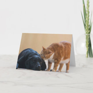 犬の写真カード- Davyおよび友人 カード