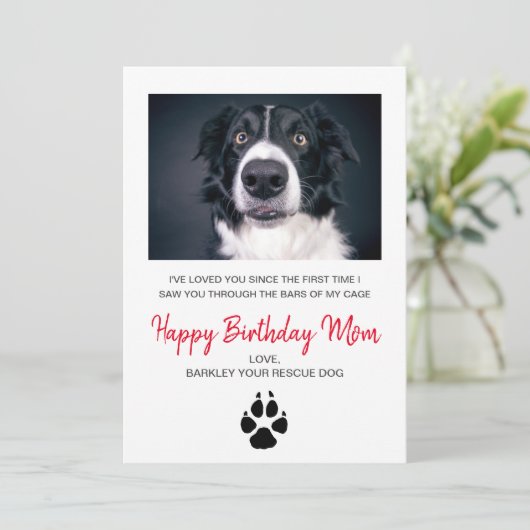 犬の写真ハッピーバースデーマママカード救助犬 シーズンカード (スタンド正面)