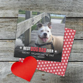 犬の写真フラットからのバレンタインデー シーズンカード
