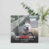 犬の写真フラットからのバレンタインデー シーズンカード (スタンド正面)