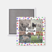 犬の写真ポーパーソナライズされたトInstagramをプリント マグネット (正面/裏面)