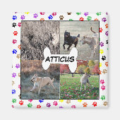 犬の写真ポーパーソナライズされたトInstagramをプリント マグネット (正面)