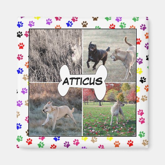 犬の写真ポーパーソナライズされたトInstagramをプリント マグネット (正面)