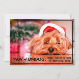 犬の写真ポーフンバグペットのクリスマス シーズンカード