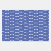 犬の写真名ブルーハートペット ラッピングペーパーシート (正面3)