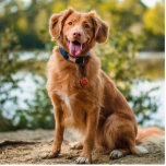 犬の写真規約 フォトスカルプチャー<br><div class="desc">写真の規約。犬やペットの写真。</div>