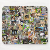 犬の写真集 マウスパッド (正面)