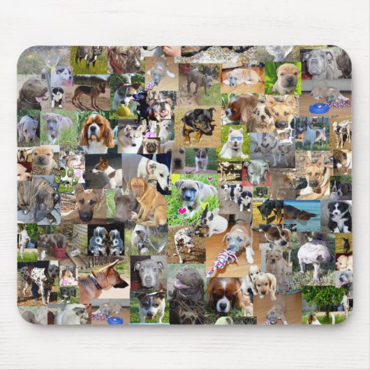 犬の写真集 マウスパッド (正面)