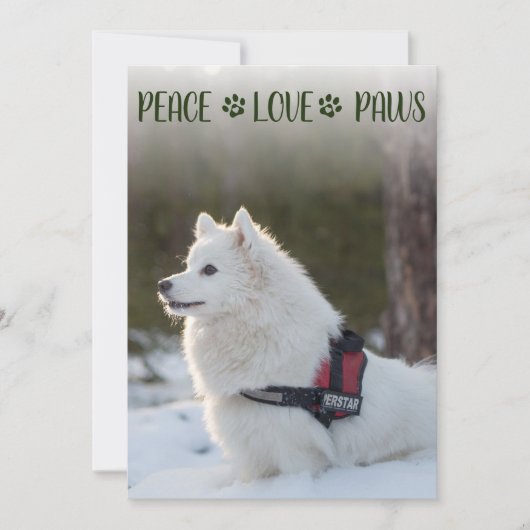 犬の写真 クリスマス フラットカード (正面)